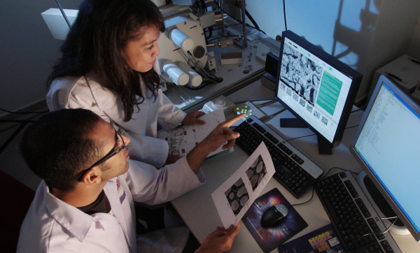 Two scientists looking at a computer reviewing research